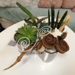 Sesazené nádoby z pokojových rostlin